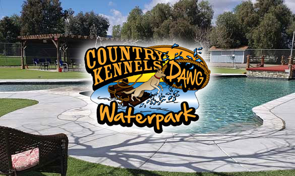 Dawg Waterpark Aside Image